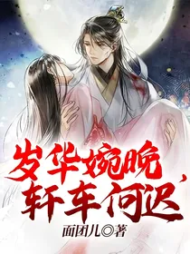 岁华婉晚，轩车何迟