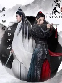 陈情令之元帅看我