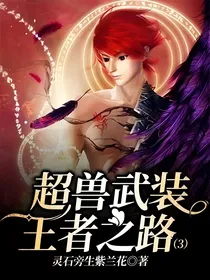 超兽武装王者之路（3）