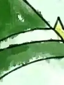 末世萝莉当自强（剑三）