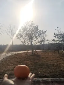 柯南同人文：sangria之舞