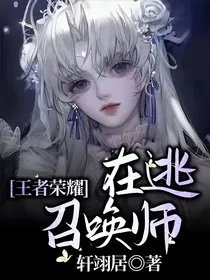 王者荣耀：在逃召唤师
