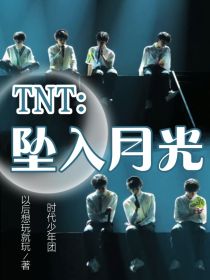 TNT：坠入月光