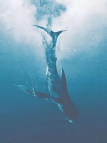 我溺死于深海
