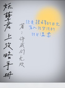 妖孽君上攻略手册