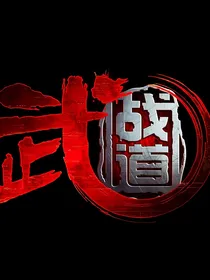 武战道之天启流光影