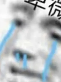 小炮灰