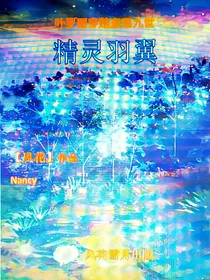 叶罗丽穿越查九：精灵羽翼（风花版）