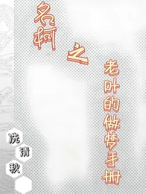 名柯之老叶的做梦手册