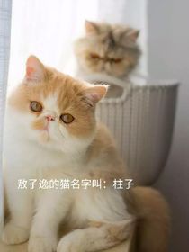 发布一段TF家族二代三代称呼