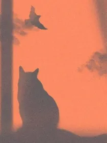 文野：独白笔记