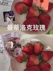 曼蒂洛克玫瑰