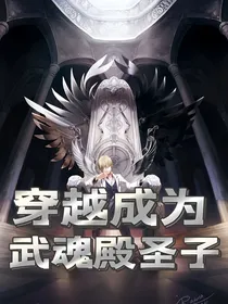 穿越成为武魂殿圣子