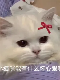 假如王者有群聊