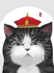 月缘之夜（不定时更新）