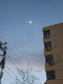 爱情是买卖