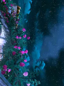 时间不对，不是青梅