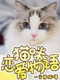 陈情令：猫咪恋爱物语