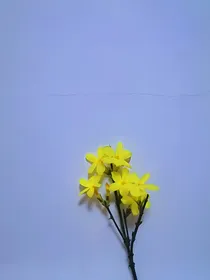 快穿之甜妻种田小能手