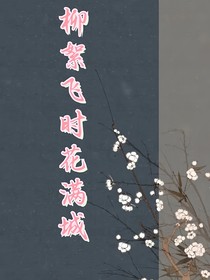 柳絮飞时花满城