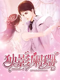 独影阑珊