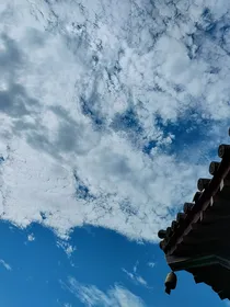 学长，考虑一下我