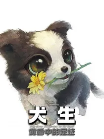 犬生：黄昏中的足迹