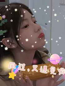 风过，又遇见你