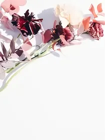 哈利波特同人——归