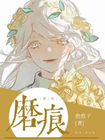 磨痕-d820