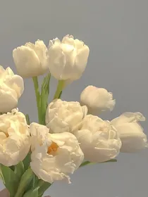 我与过往并排