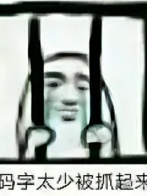 火影：我真的不想当吐槽役！！！