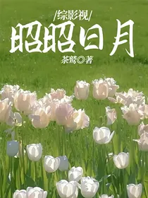 综影视：昭昭日月