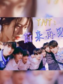 TNT：蔚来再见