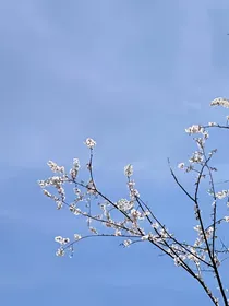 青纪的短篇文