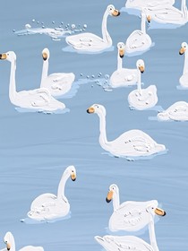 花语江湖——王城通缉令