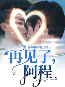 再见了，阿程