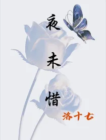 夜未惜