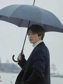 BTS：微忱稽热