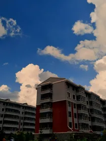 博君一肖：听风吟夏忆往昔
