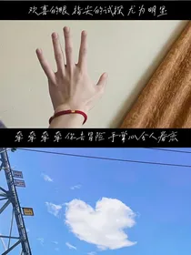 综艺：再度热恋
