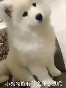 秋水惊澜