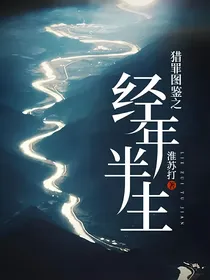 猎罪图鉴之经年半生