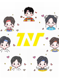 TNT：1123探案组