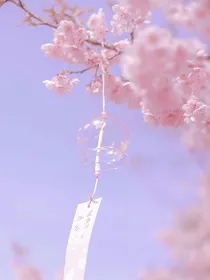浪漫世界
