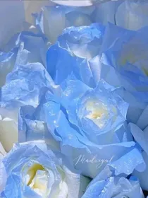 我人畜无害的Alhpa男友（漏）