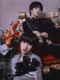 TF家族：偏执