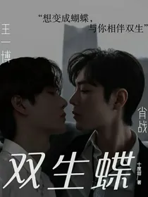 肖战王一博：双生蝶