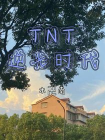 TNT：逆光时代恋