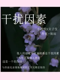 干扰因素